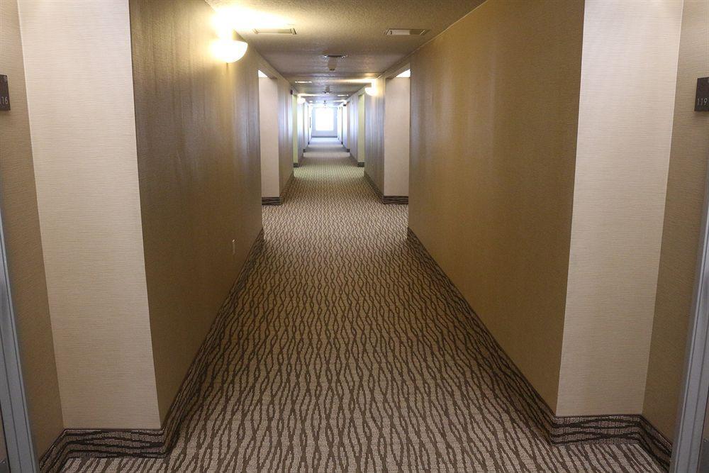 Comfort Suites New Braunfels Eksteriør bilde