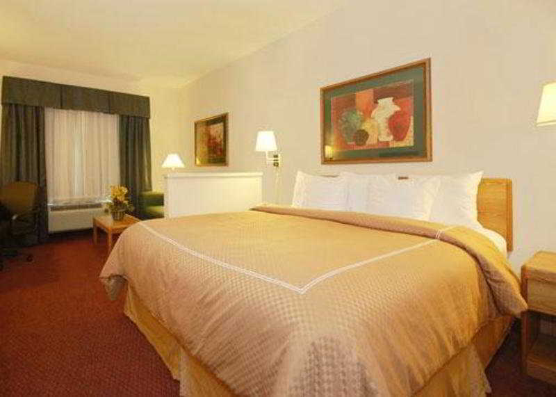 Comfort Suites New Braunfels Rom bilde
