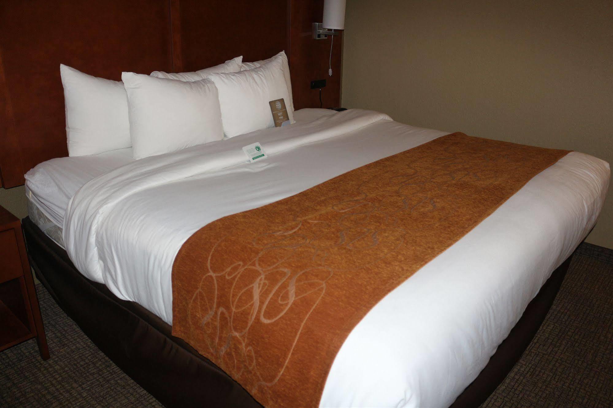 Comfort Suites New Braunfels Eksteriør bilde